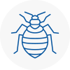 Bed Bug Extermination In Wombourne