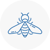Bee Nest Removal Wombourne