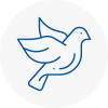 Bird Prevention Wombourne