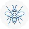 Wombourne Hornet Nest Removals