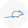 Mice Exterminators In Wombourne