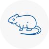 Rat Control Wombourne