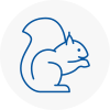 Wombourne Rodent Removals